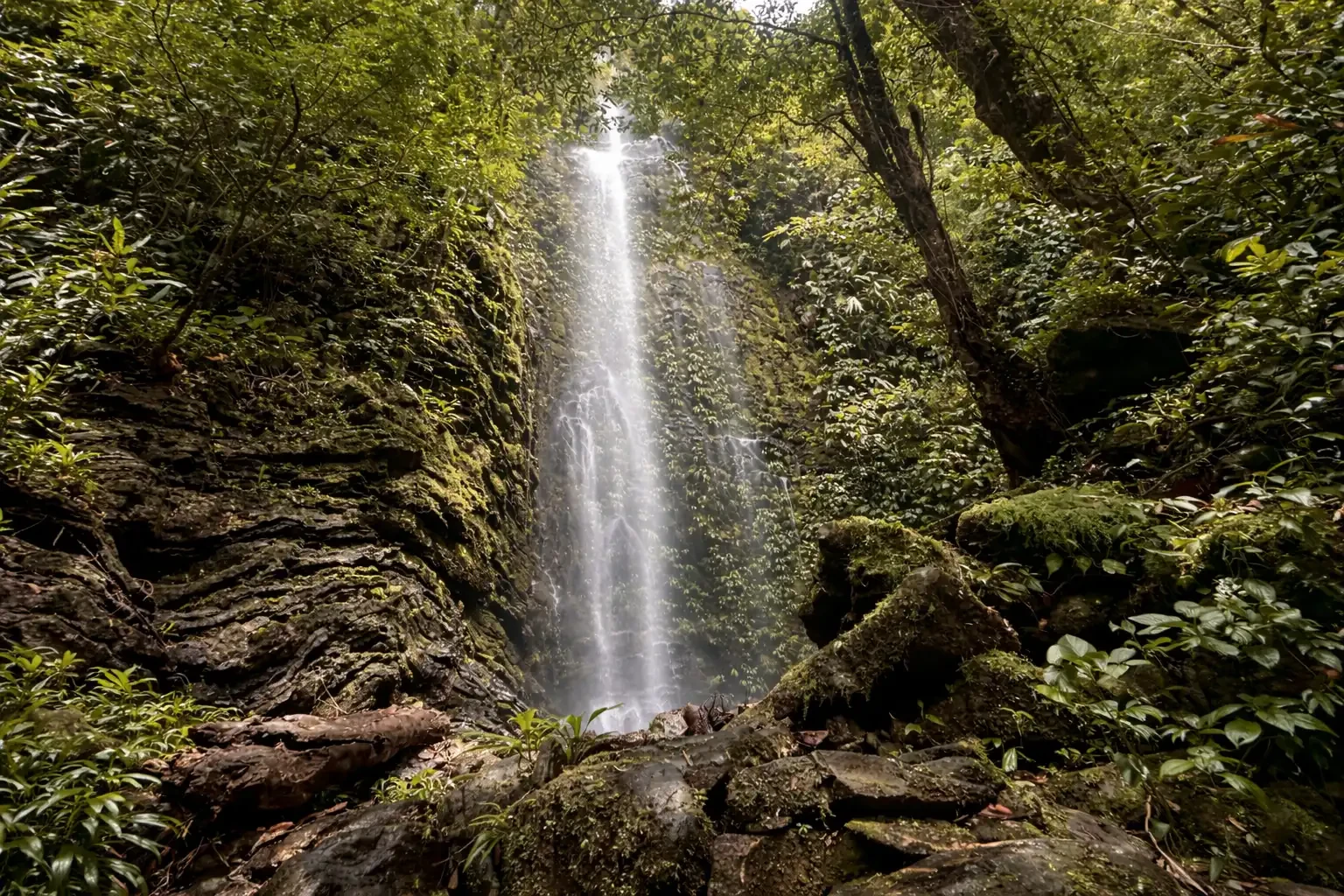 Ciudad Perdida 5 días immersión Sierra Nevada de Santa Marta Colombia