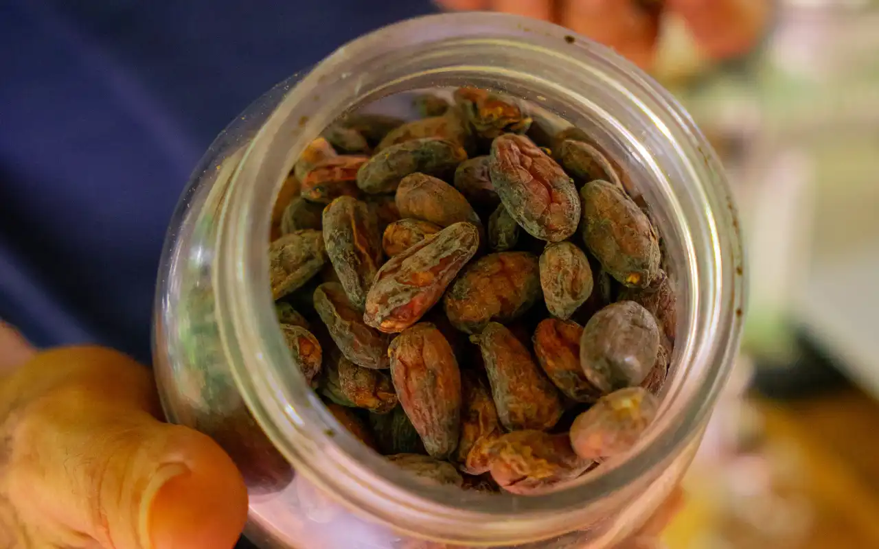 Minca Tour: Coffee, Cacao and Waterfall Experience gallery
