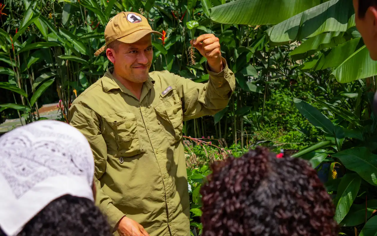 Minca Tour: Coffee, Cacao and Waterfall Experience gallery