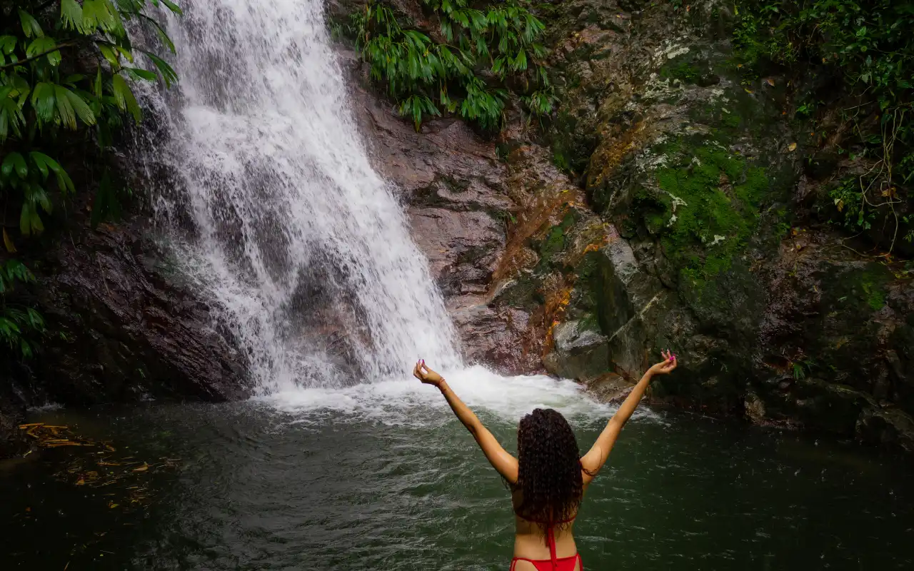 Minca Tour: Coffee, Cacao and Waterfall Experience gallery