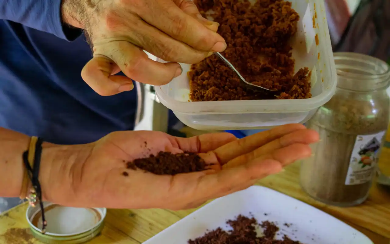 Minca Tour: Coffee, Cacao and Waterfall Experience gallery