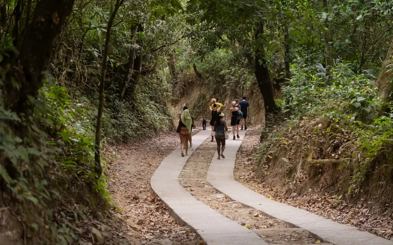 Minca Day Trip from Santa Marta: Nature, Coffee and Natural slides gallery