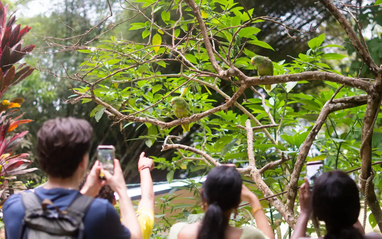 Minca Day Trip from Santa Marta: Nature, Coffee and Natural slides gallery