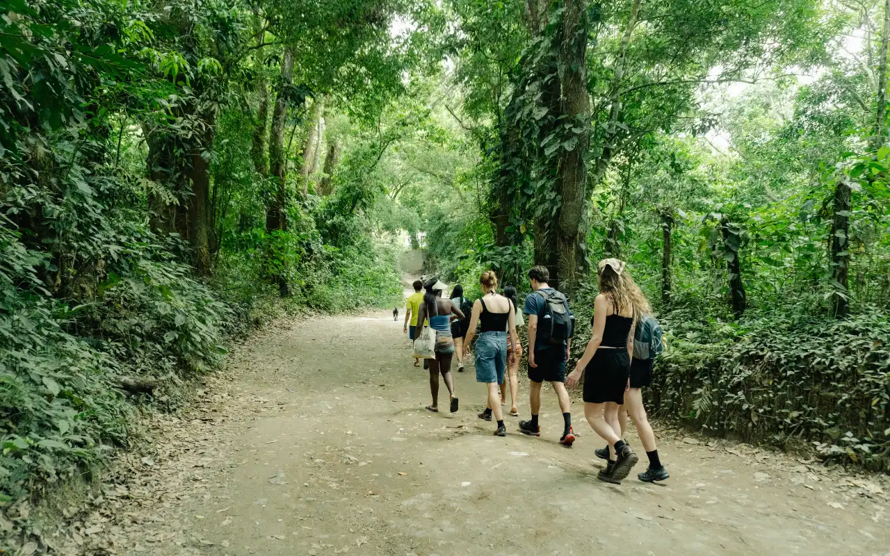 Minca Day Trip from Santa Marta: Nature, Coffee and Natural slides gallery
