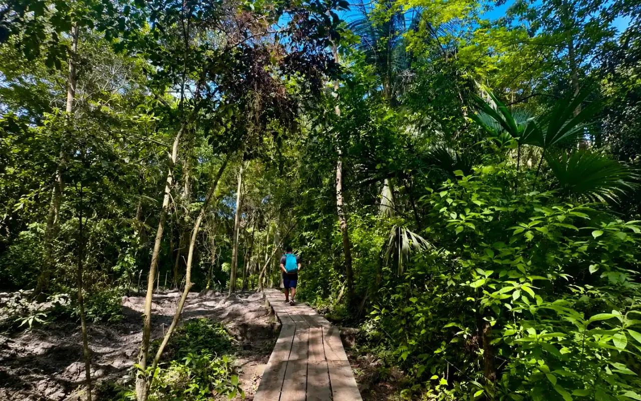 Caminata a Cabo San Juan en el Parque Tayrona