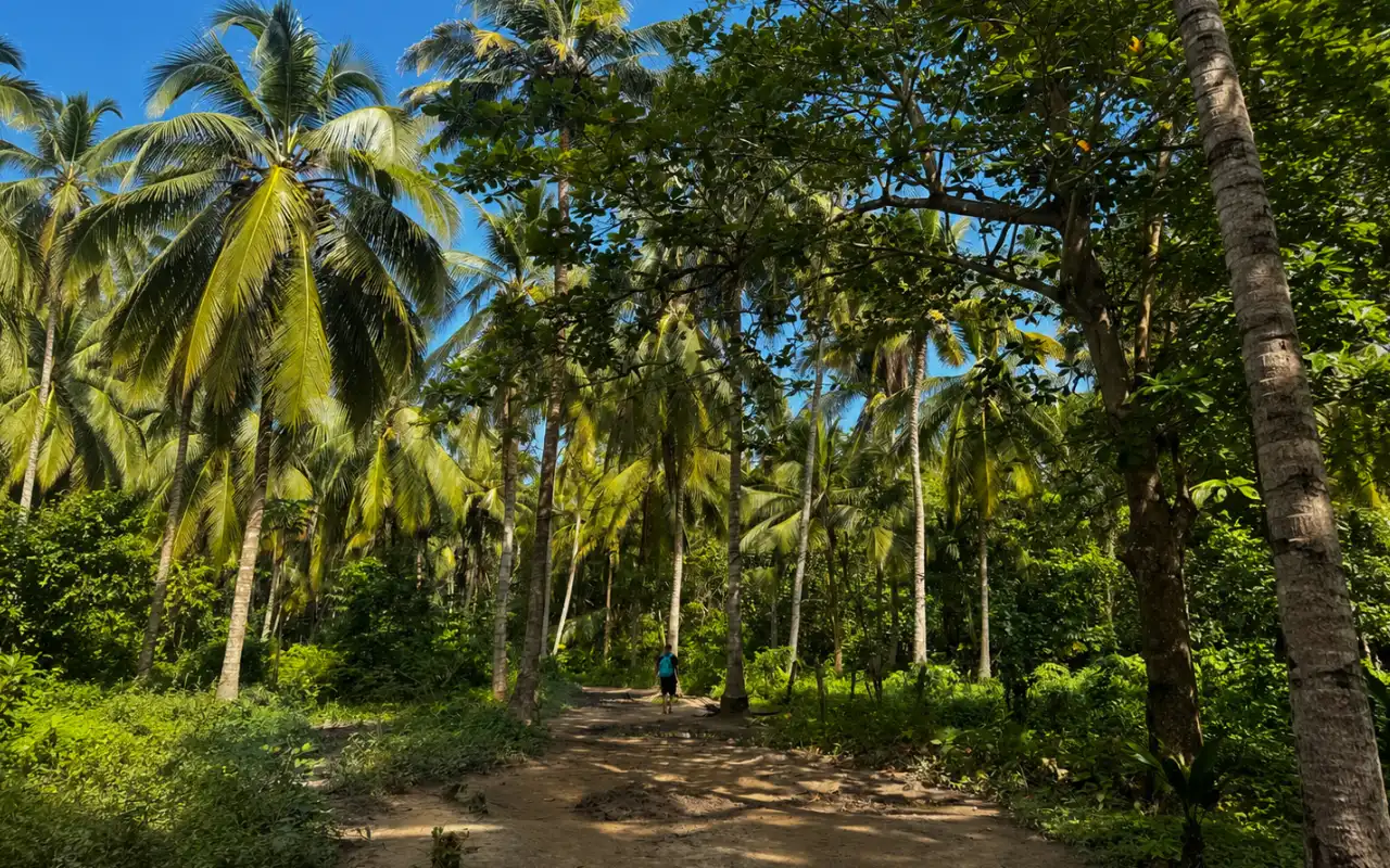 Galería de Cabo San Juan Tayrona: Caminata Guiada desde Santa Marta