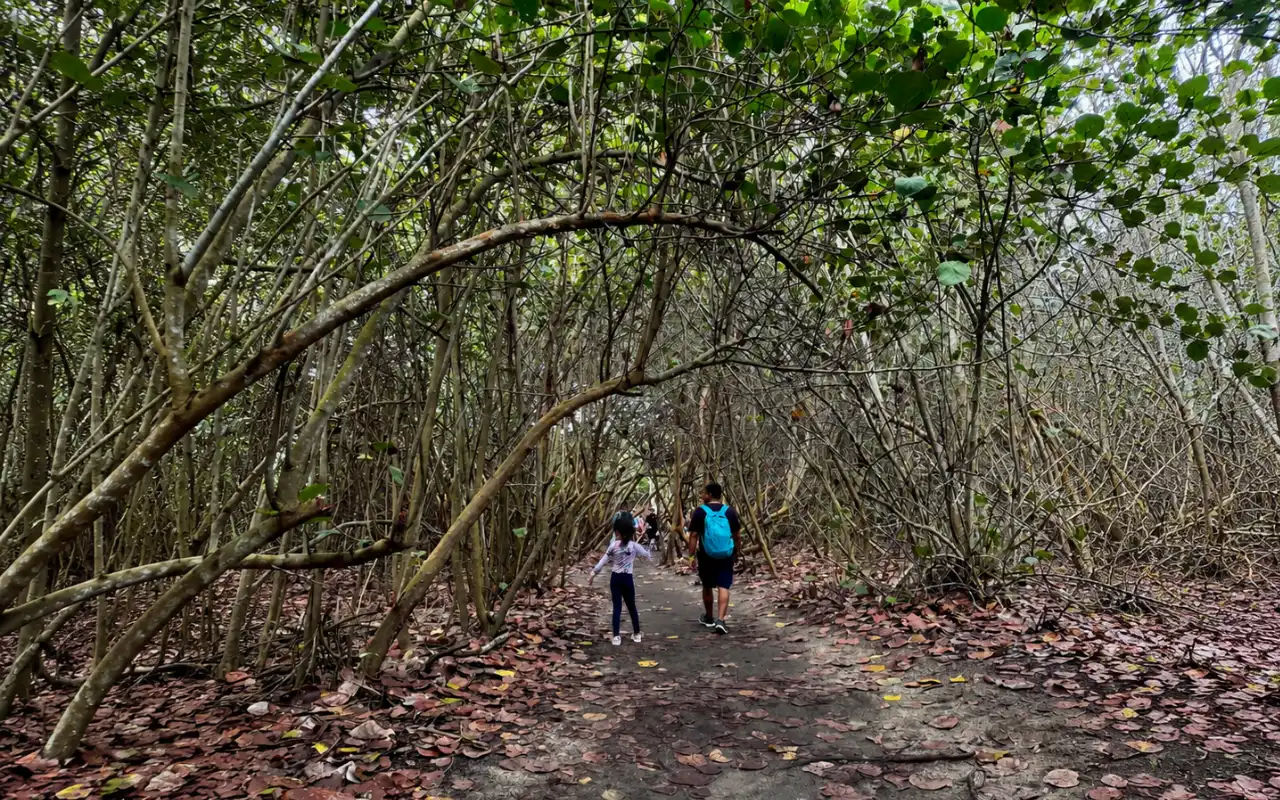 Galería de Cabo San Juan Tayrona: Caminata Guiada desde Santa Marta