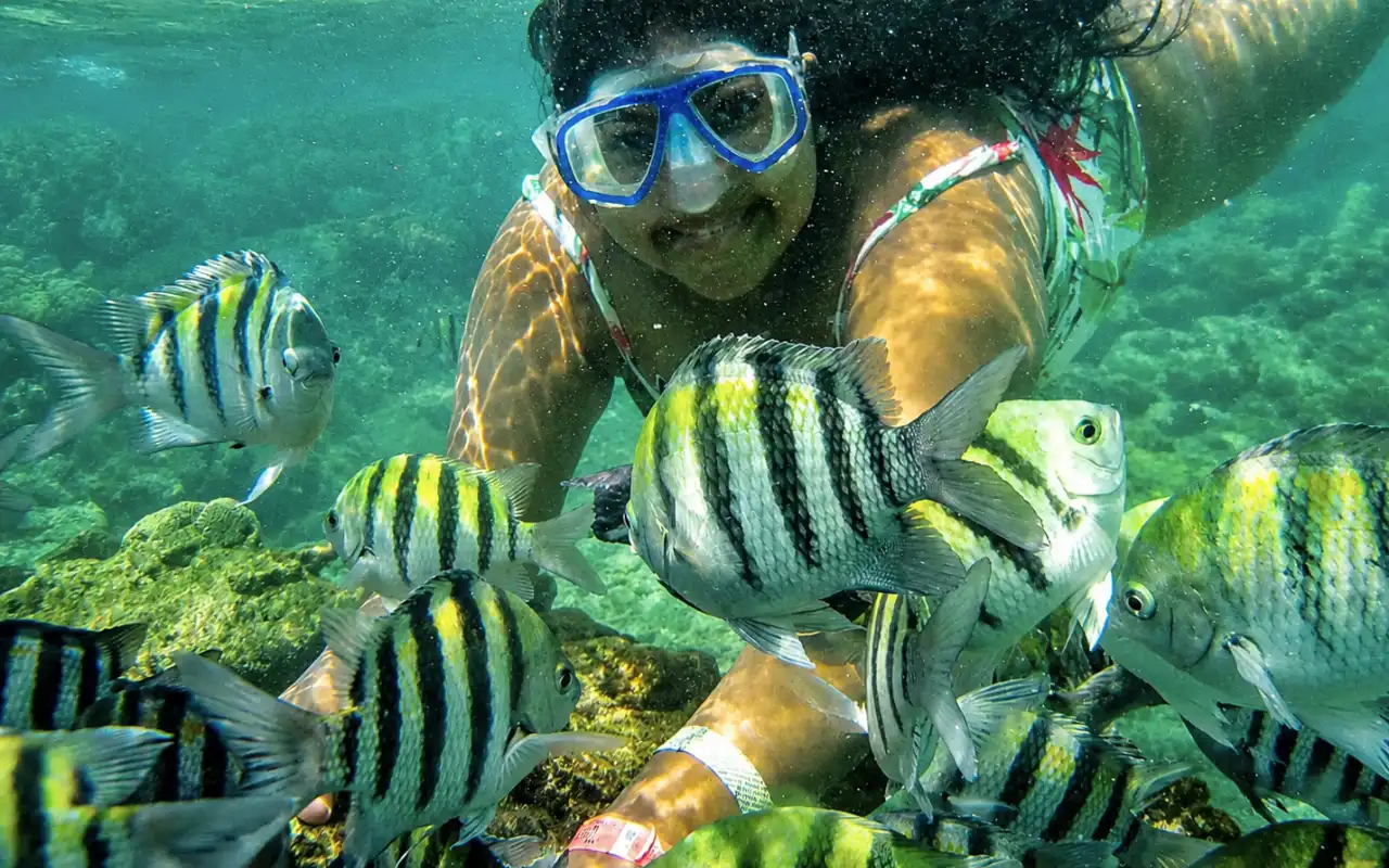 Galería de Playa Cinto y Playa Cristal - Parque Tayrona: Lancha desde Santa Marta