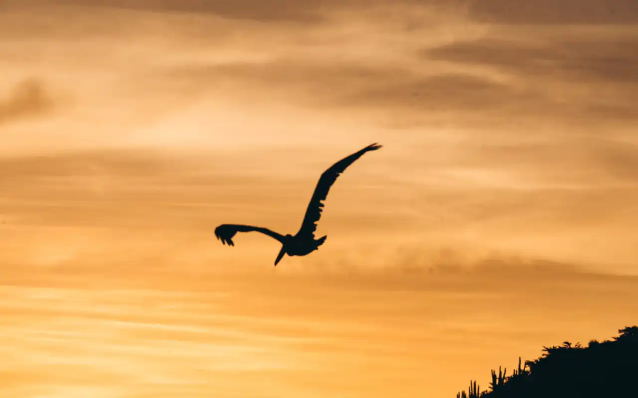 Galería de Atardecer en Velero: Tour Bahía de Santa Marta y Taganga