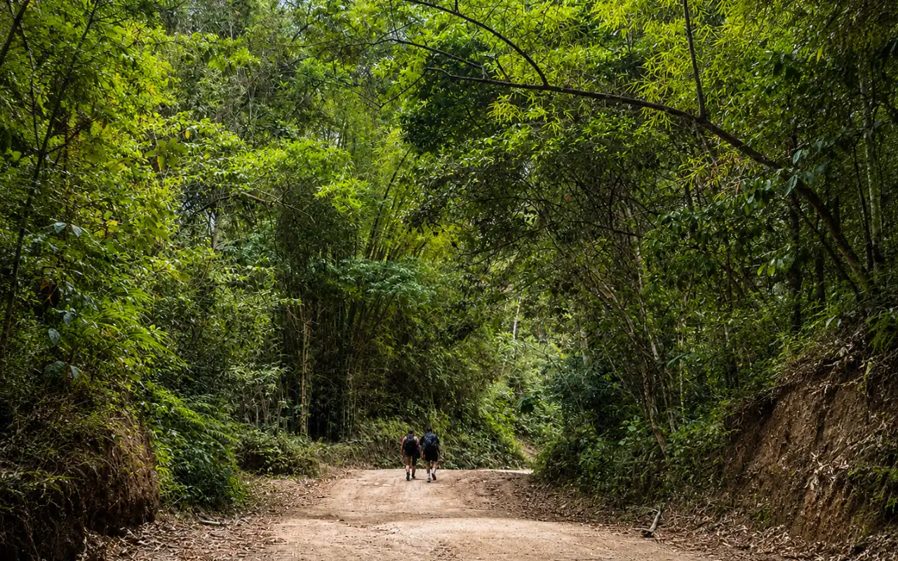 ATV Tour in Minca and Marinka: Waterfalls and Adrenaline gallery