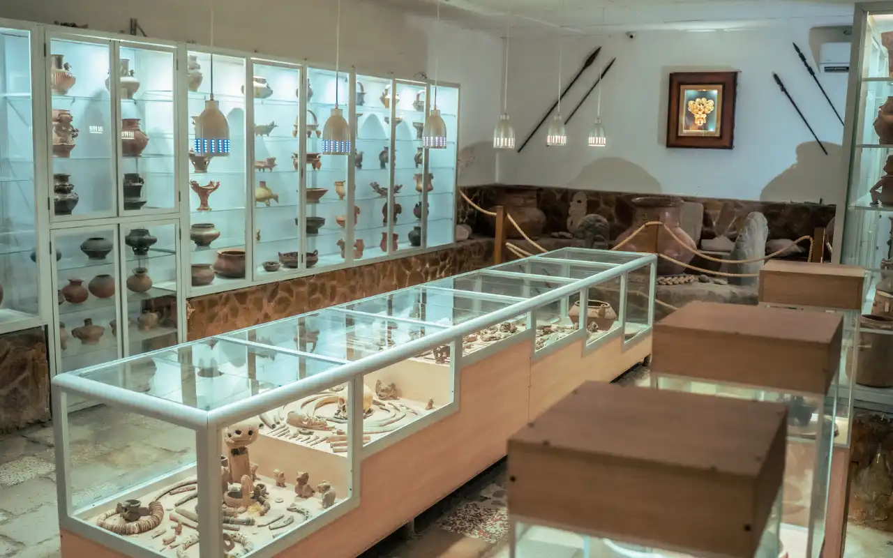 Galería de Tour Acuario Santa Marta: Centro de Vida Marina y Playa Blanca