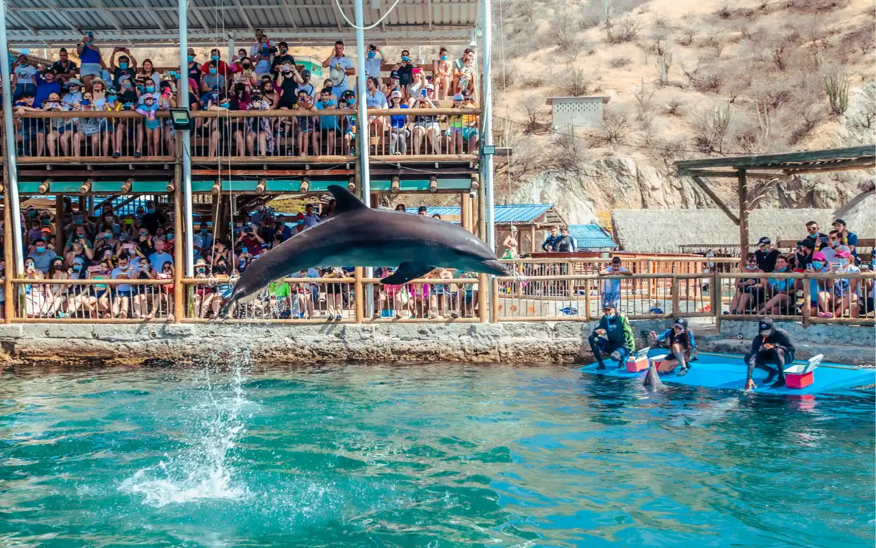 Galería de Tour Acuario Santa Marta: Centro de Vida Marina y Playa Blanca