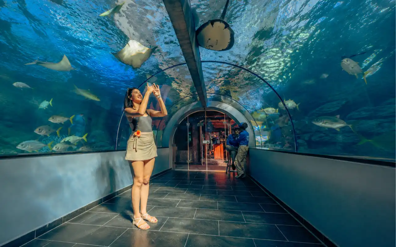 Galería de Tour Acuario Santa Marta: Centro de Vida Marina y Playa Blanca