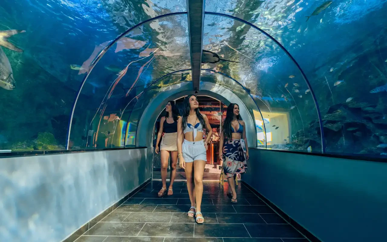 Tour al Acuario de Santa Marta