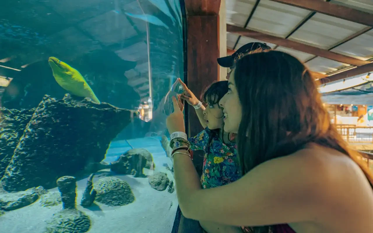 Galería de Tour Acuario Santa Marta: Centro de Vida Marina y Playa Blanca