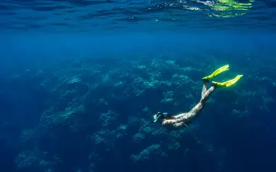 Snorkeling Tour in Santa Marta & Tayrona Reefs