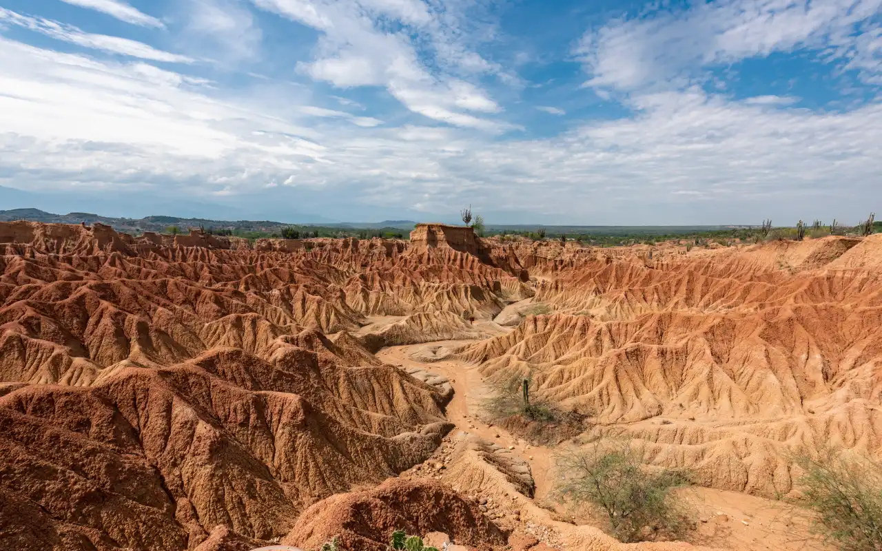 Galería de Desierto de la Tatacoa: Tour 1 Día desde Villavieja