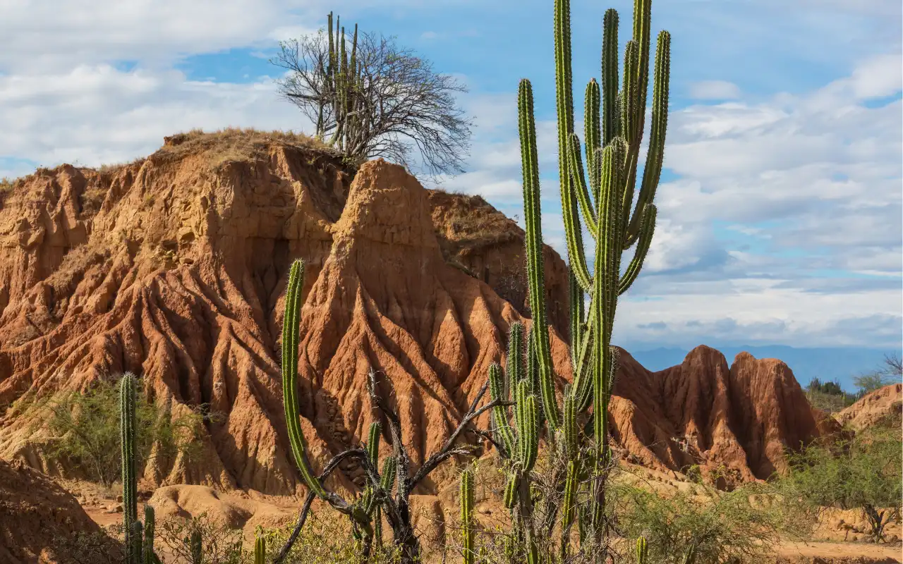 Galería de Desierto de la Tatacoa: Tour 1 Día desde Villavieja