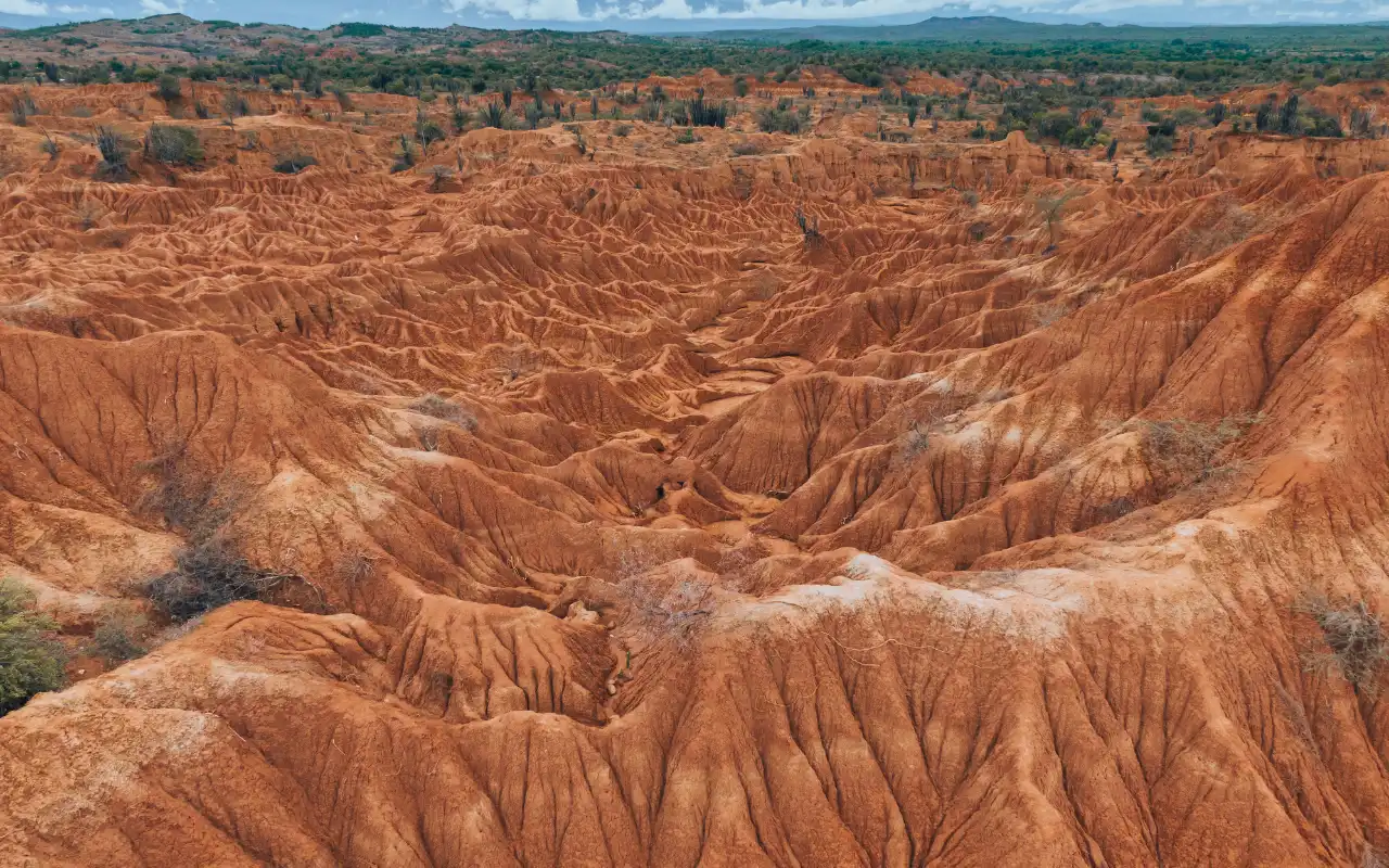 Galería de Desierto de la Tatacoa: Tour 1 Día desde Villavieja