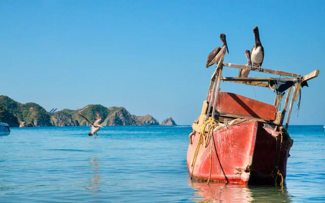 Fishing Tour Santa Marta: A Day with Local Fishermen gallery
