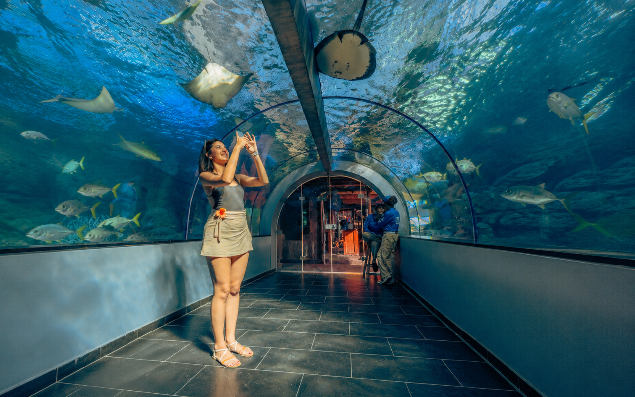 Santa Marta Package 4 Days 3 Nights: Custom Hotel + Tours gallery