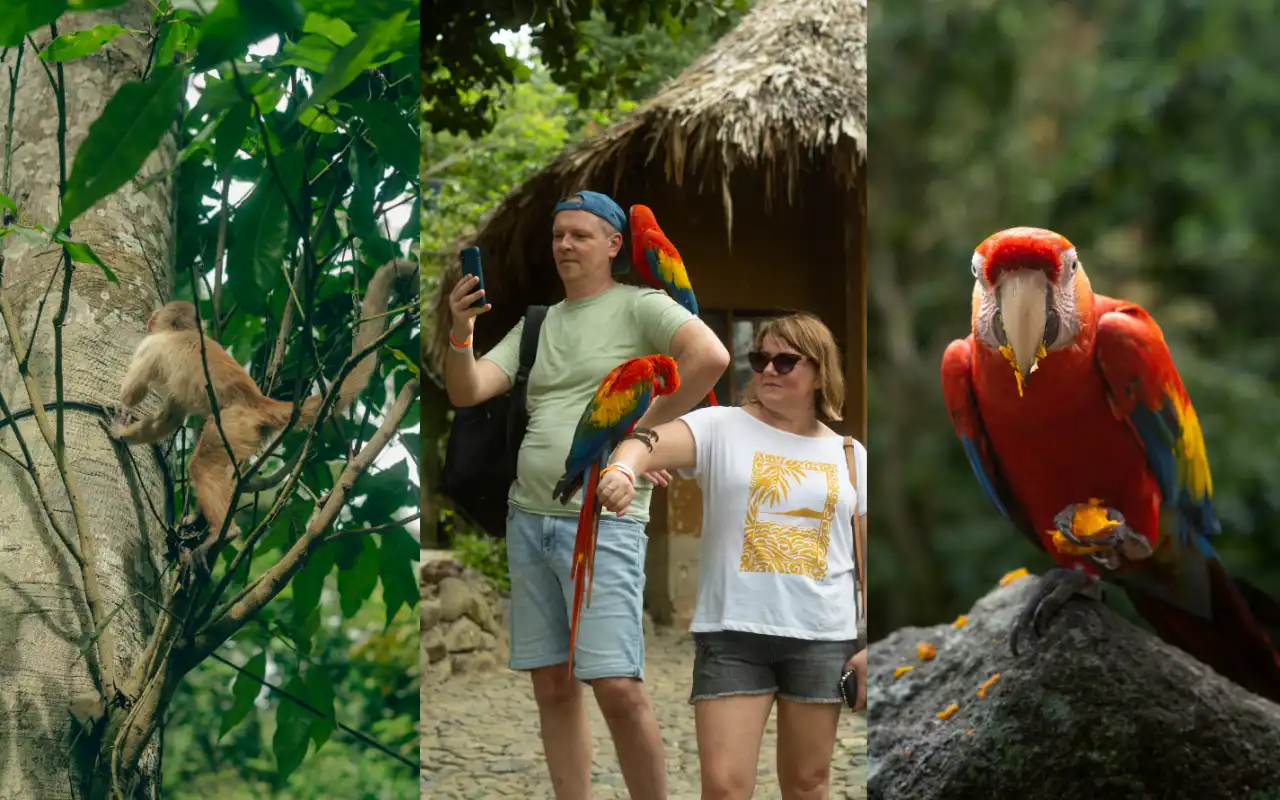 Trekking Tayrona Park: Pueblito Tayrona Taiku and Cabo San Juan gallery