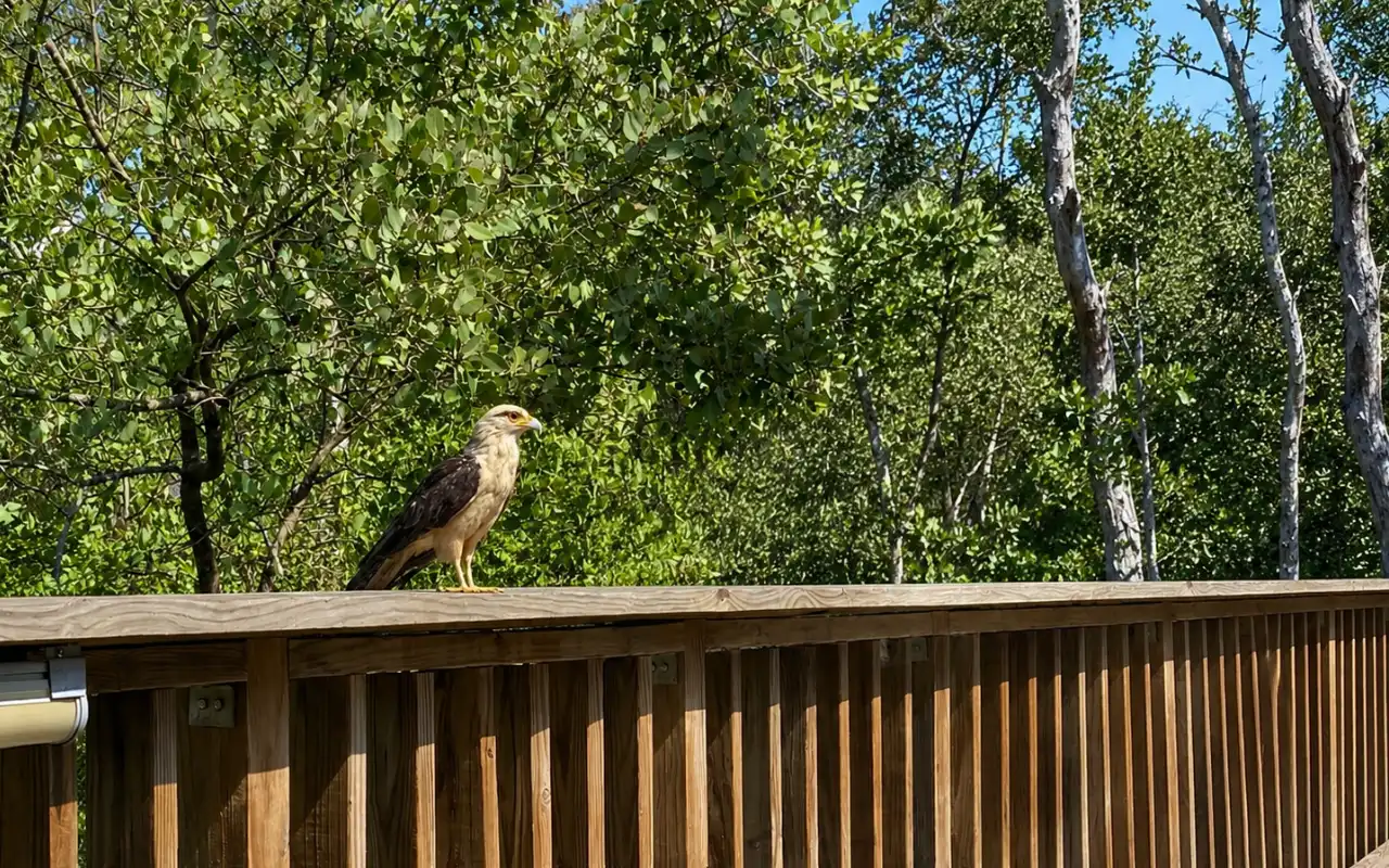 Mallorquin Ecopark & Puerto Mocho Beach Barranquilla gallery