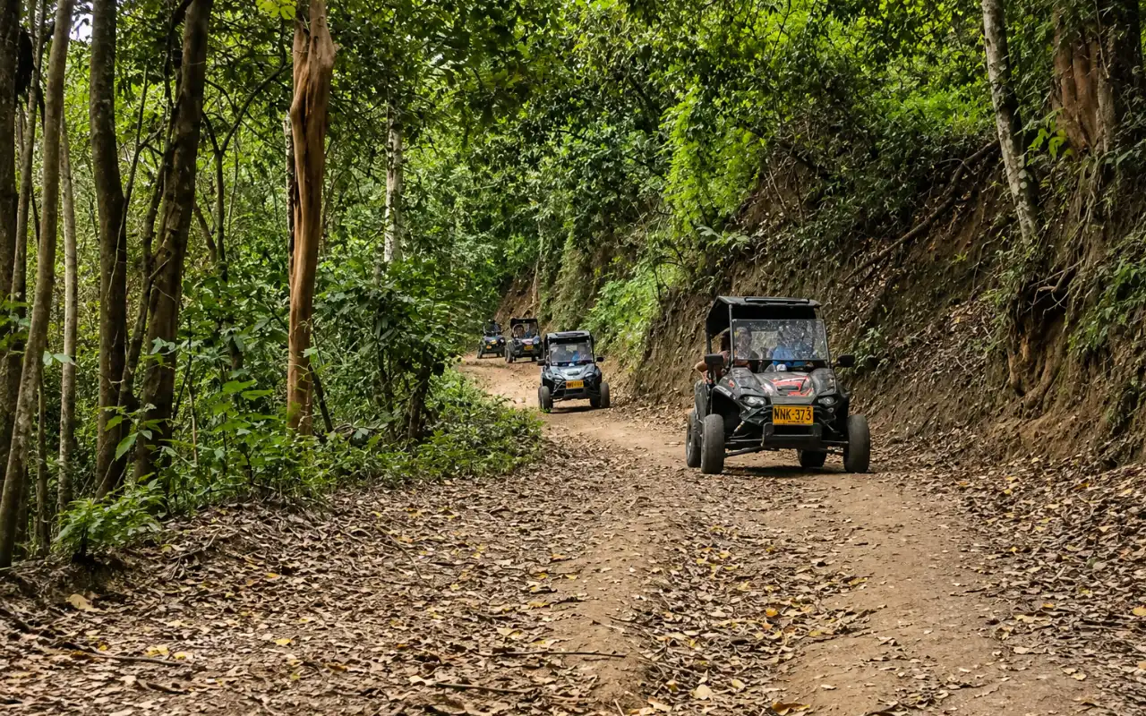 Tourists driving buggies in Santa Marta