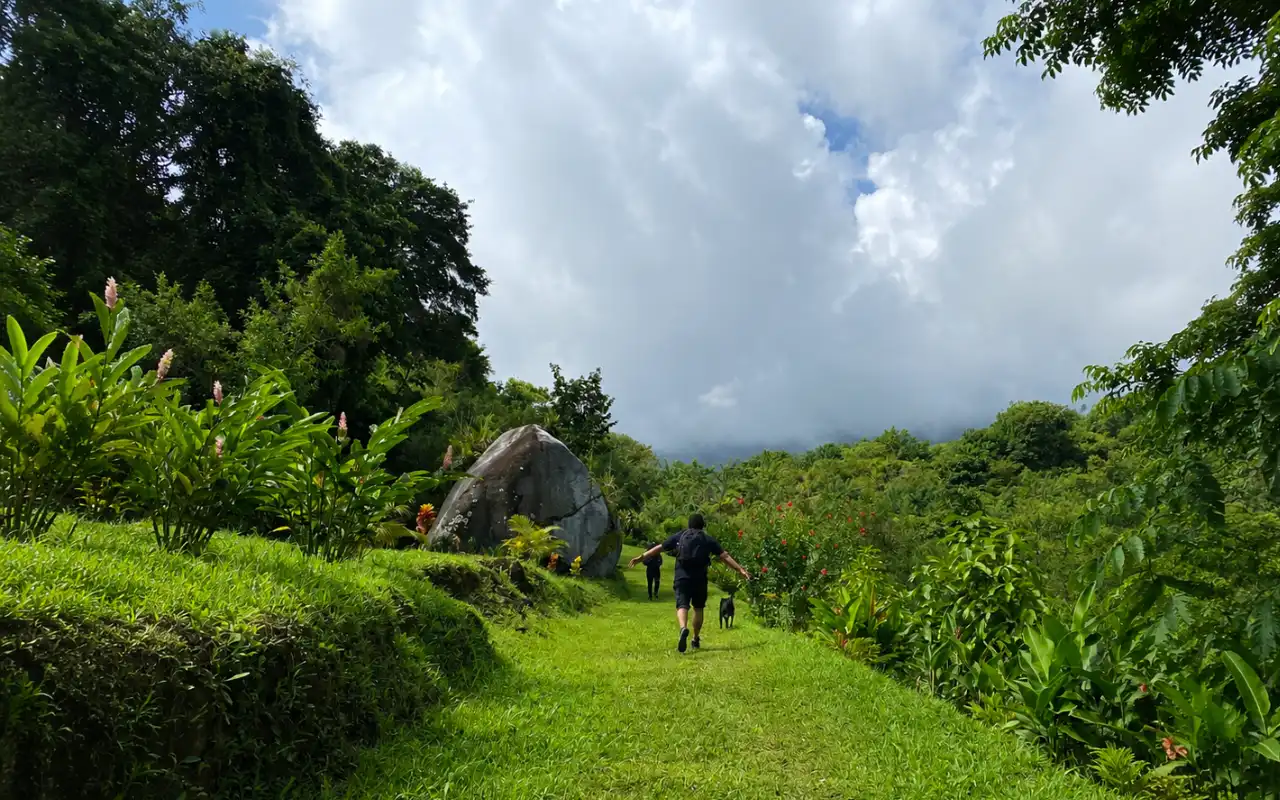 Excursionistas en la Sierra Nevada de Santa Marta