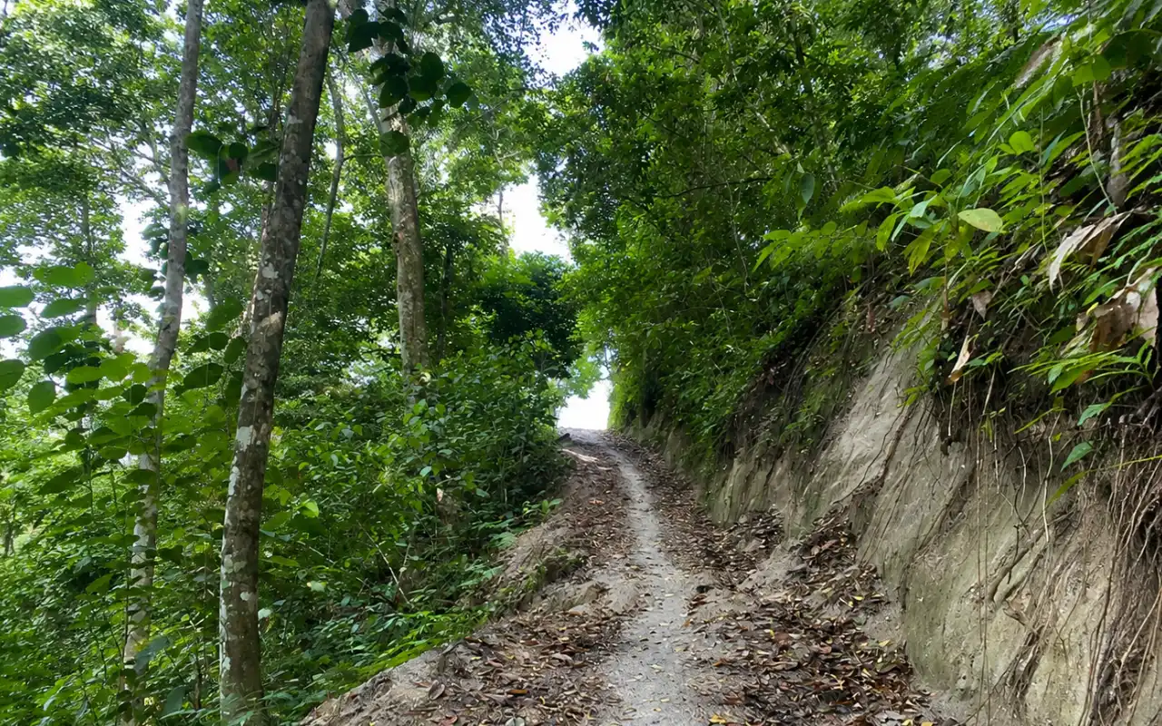 Ruinas Tayrona de Bunkuany - Segunda Ciudad Perdida