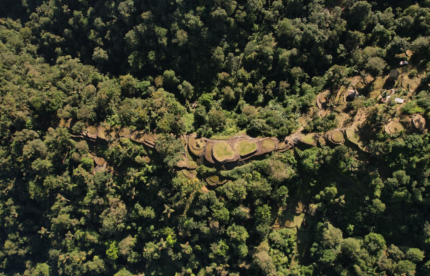 Lost City Colombia | Magic Tour Colombia