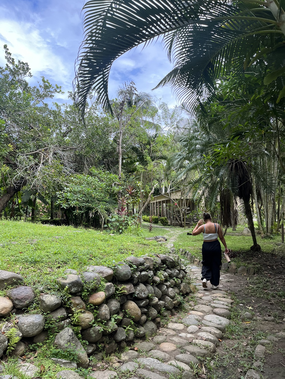 tayronaca