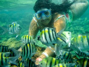 5 unmissable plans in Santa Marta in this 2022 image