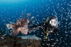 What to do in Taganga, Colombia? Everything what you need to know image