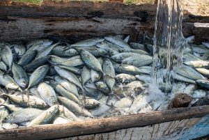 What to do in Taganga, Colombia? Everything what you need to know image