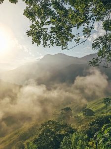 Are you going to Colombia? Don´t skip the Lost City Trekking! image
