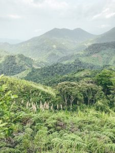 Are you going to Colombia? Don´t skip the Lost City Trekking! image