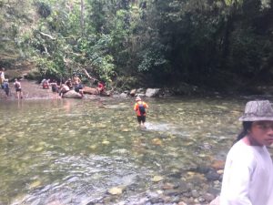 Imagen de Trekking a Ciudad Perdida: 4 días de Caminata