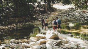 The Complete Guide to Colombia's Lost City Trek image