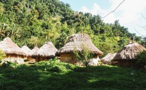 The Complete Guide to Colombia's Lost City Trek image