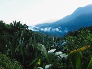 The Complete Guide to Colombia's Lost City Trek image