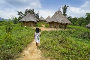 Pueblo Wiwa Gotsezhy | Magic Tour Colombia