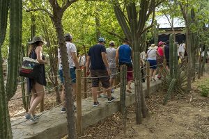 Cabo San Juan: Nature & Beaches in Tayrona National Park image