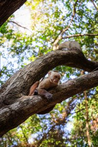 Cabo San Juan: Nature & Beaches in Tayrona National Park image