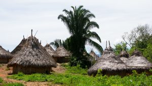 5 unmissable tours in the Sierra Nevada de Santa Marta image
