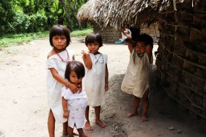 5 unmissable tours in the Sierra Nevada de Santa Marta image