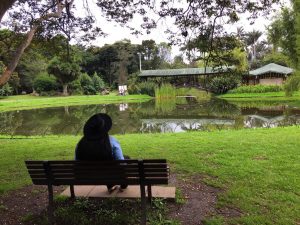Imagen de 5 de lugares que visitar en Bogotá, Colombia