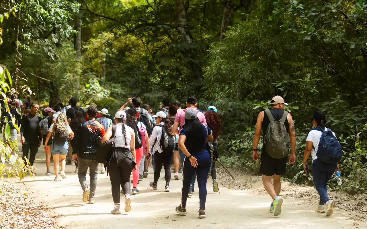 Success Story: Over two years of corporate wellness and team building for CENIPALMA