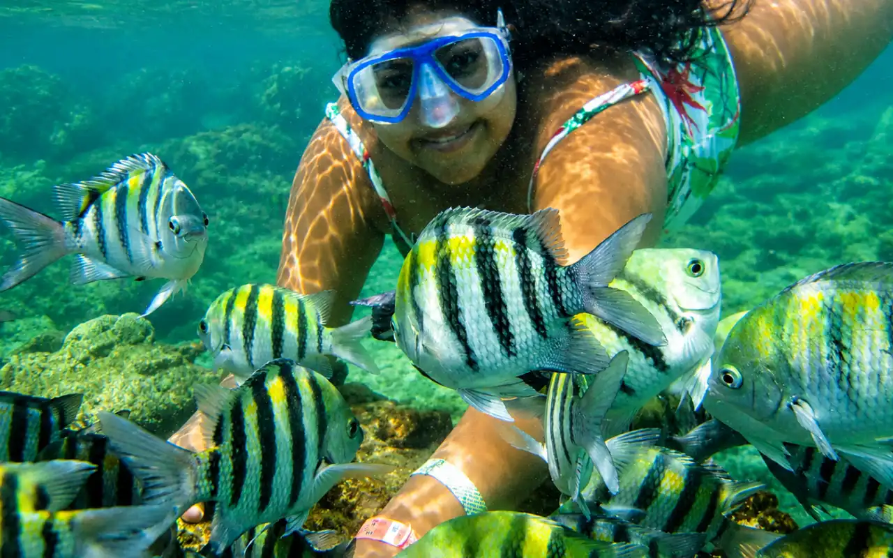 Playa Cristal Santa Marta 2026: Guía, Cómo Llegar, Precios y Qué Hacer