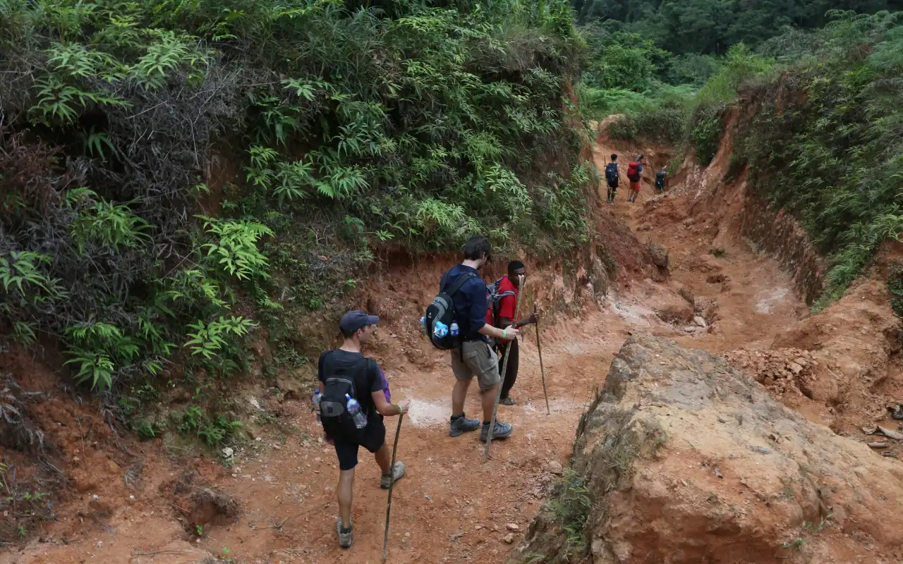 Trails and paths of the Lost City trek Colombia